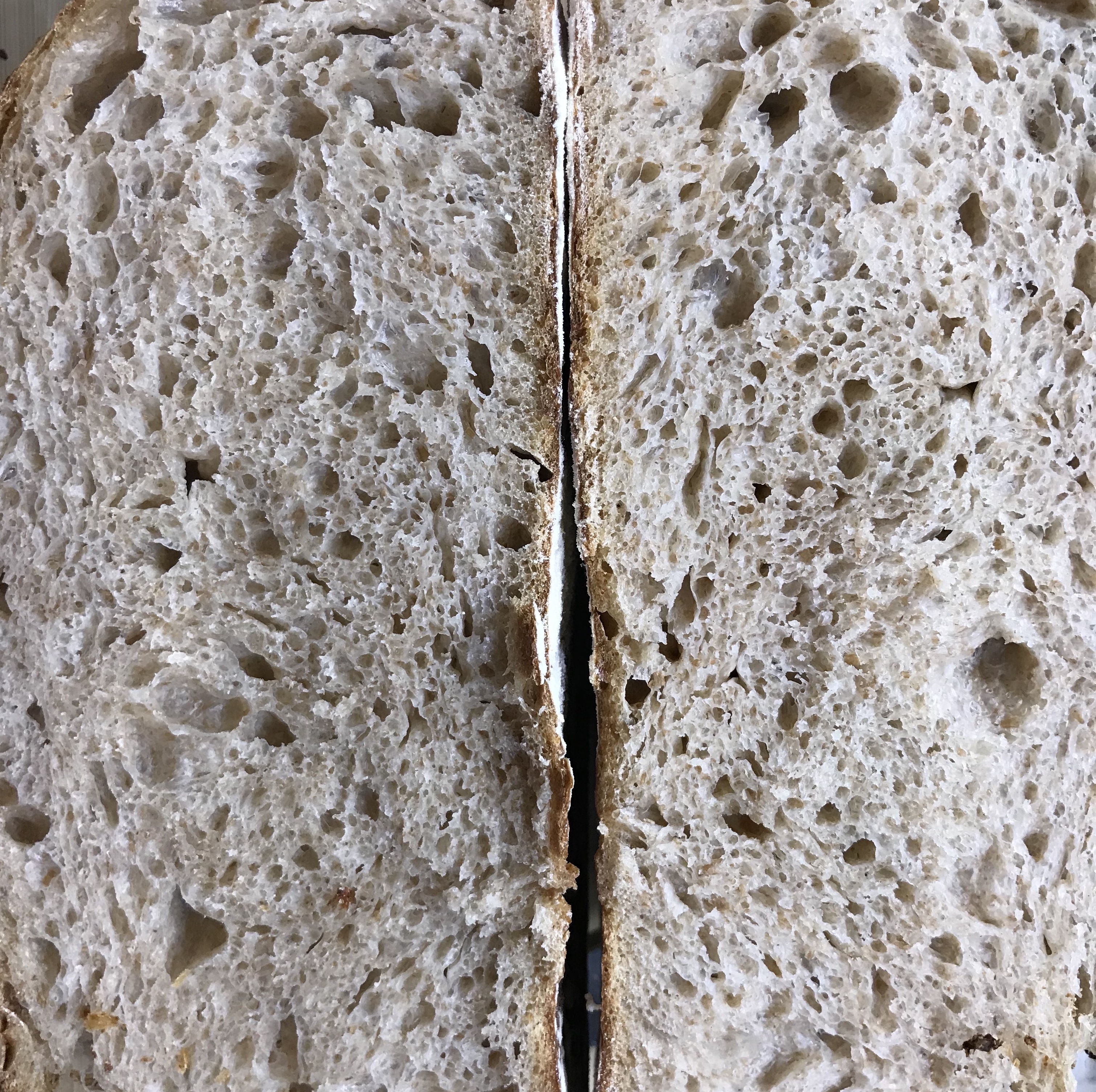 Sourdough crumb